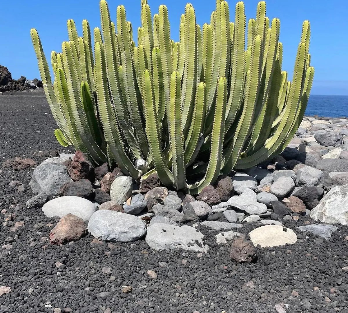 Hébergement de vacances Basalto House Flat Tenerife South Tejina de Isora